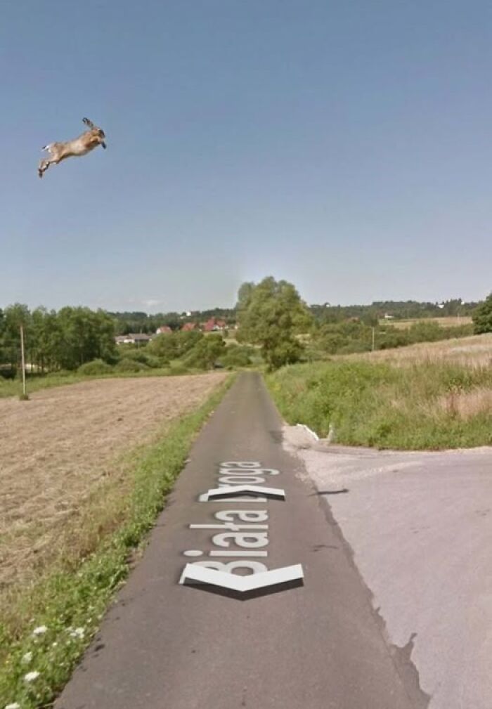 20 самых странных находок, которые люди случайно увидели на Google Earth - 835394 20 самых странных находок, которые люди случайно увидели на Google Earth - фото 835394