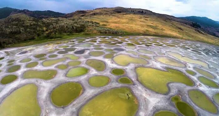 20 самых странных находок, которые люди случайно увидели на Google Earth - 835397 20 самых странных находок, которые люди случайно увидели на Google Earth - фото 835397