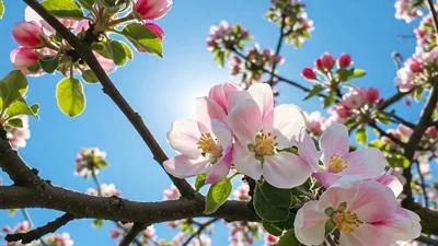 Перший день весни 2026 - найтепліші привітання і красиві картинки українською