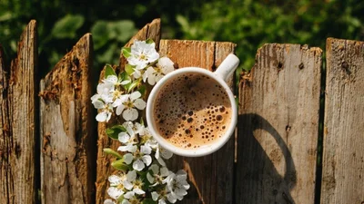 Красиві картинки та вірші з Першим днем весни 2026, які піднімуть настрій