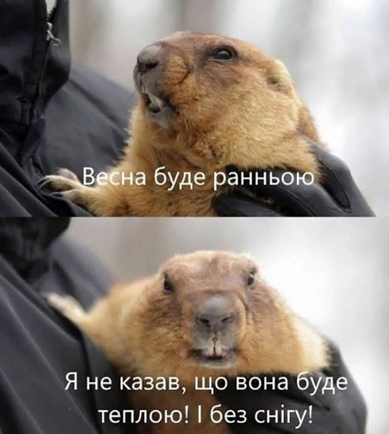 Весна пришла. Мемы принесла - 835778 Весна пришла. Мемы принесла - фото 835778