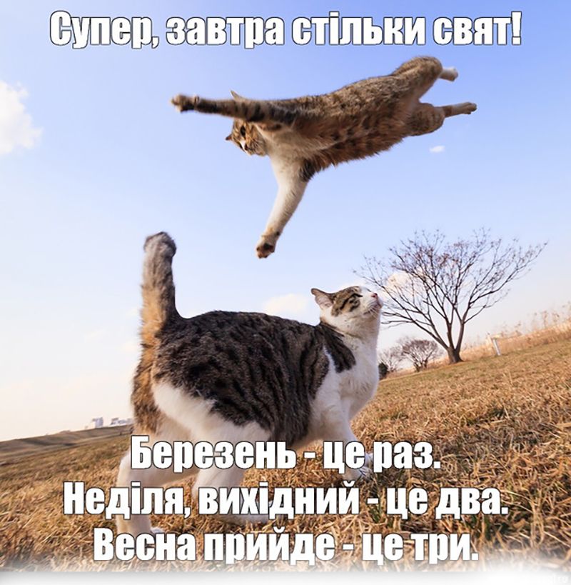 Весна пришла. Мемы принесла - 835781 Весна пришла. Мемы принесла - фото 835781