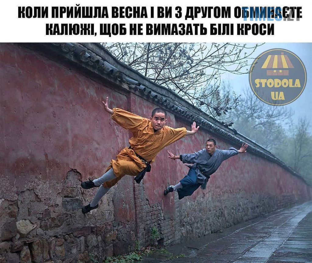 Весна пришла. Мемы принесла - 835782 Весна пришла. Мемы принесла - фото 835782