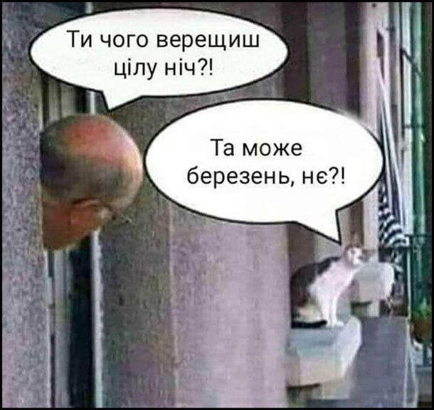 Смешные мемы о весне, которые идеально передают настроение этого сезона - 835851 Смешные мемы о весне, которые идеально передают настроение этого сезона - фото 835851