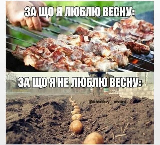 Смешные мемы о весне, которые идеально передают настроение этого сезона - 835857 Смешные мемы о весне, которые идеально передают настроение этого сезона - фото 835857