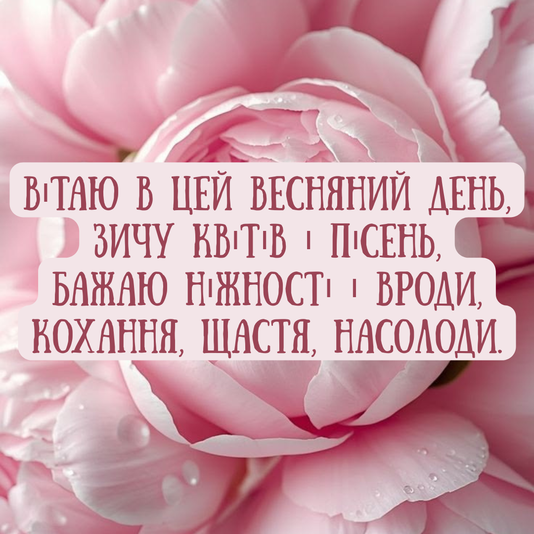 Цветы в каждой строчке: красивые и нежные стихи с 8 Марта - фото 836029