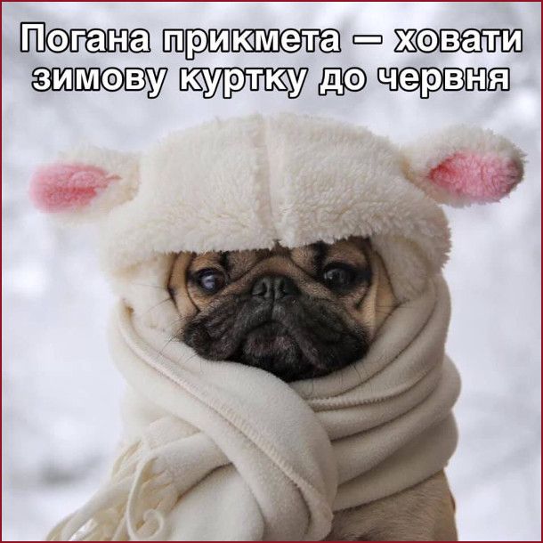 Прикольные мемы о весне, которая сегодня наконец-то к нам пришла - 836079 Прикольные мемы о весне, которая сегодня наконец-то к нам пришла - фото 836079