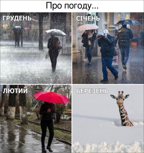Прикольные мемы о весне, которая сегодня наконец-то к нам пришла - 836080 Прикольные мемы о весне, которая сегодня наконец-то к нам пришла - фото 836080