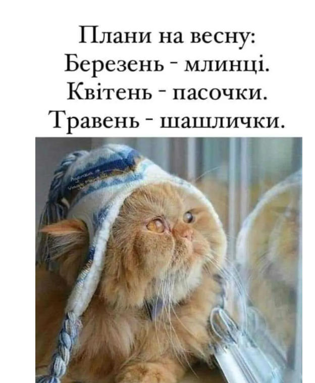 Прикольные мемы о весне, которая сегодня наконец-то к нам пришла - 836082 Прикольные мемы о весне, которая сегодня наконец-то к нам пришла - фото 836082