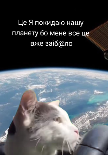 Забавные мемы с котиками, потому что они - настоящий символ весны - фото 836116