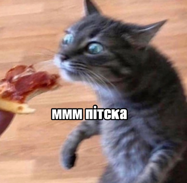 Забавные мемы с котиками, потому что они - настоящий символ весны - фото 836117