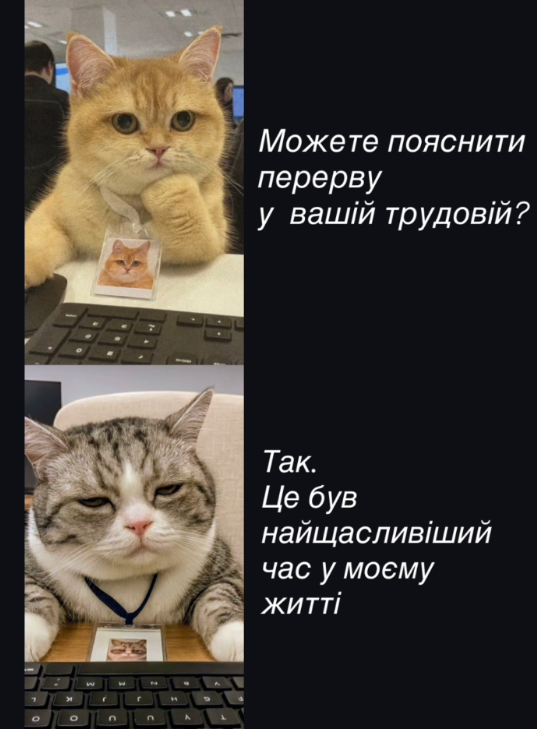 Забавные мемы с котиками, потому что они - настоящий символ весны - фото 836118