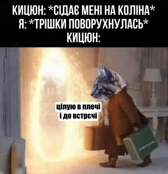 Забавные мемы с котиками, потому что они - настоящий символ весны - фото 836119