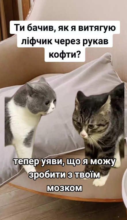 Забавные мемы с котиками, потому что они - настоящий символ весны - фото 836120
