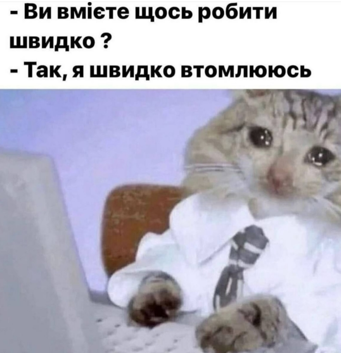 Забавные мемы с котиками, потому что они - настоящий символ весны - фото 836122