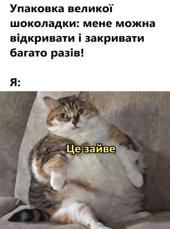 Забавные мемы с котиками, потому что они - настоящий символ весны - фото 836124