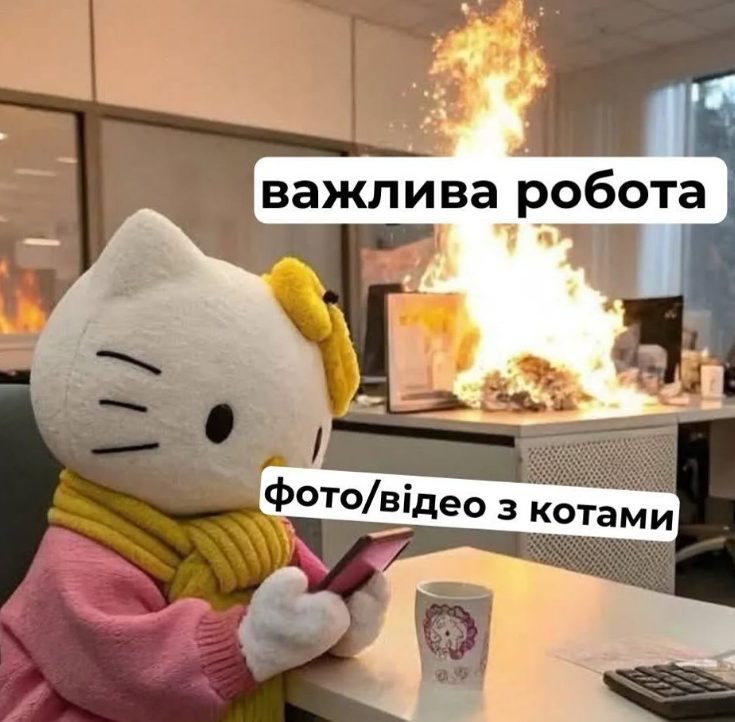 Забавные мемы с котиками, потому что они - настоящий символ весны - фото 836129