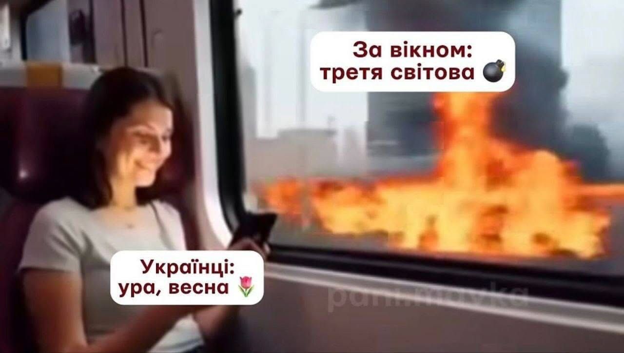 Пес Шайтан уже разминирует Дубай: соцсети взорвались мемами об атаке на ОАЭ - 836465 Пес Шайтан уже разминирует Дубай: соцсети взорвались мемами об атаке на ОАЭ - фото 836465