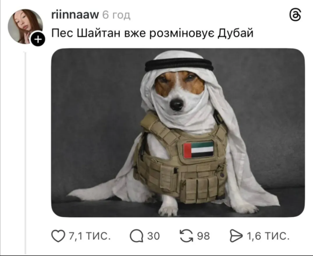 Пес Шайтан уже разминирует Дубай: соцсети взорвались мемами об атаке на ОАЭ - 836474 Пес Шайтан уже разминирует Дубай: соцсети взорвались мемами об атаке на ОАЭ - фото 836474