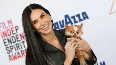 Смішна улюблениця Демі Мур: як чіхуахуа зіркової акторки підкорила мережу