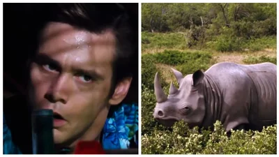 Той самий носоріг із "Ейса Вентури" виставлений на аукціон – скільки коштує легенда