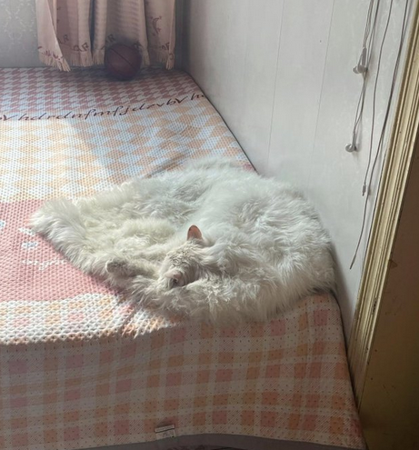 Странные оптические иллюзии, которые твой мозг не сможет понять - 838308 Странные оптические иллюзии, которые твой мозг не сможет понять - фото 838308
