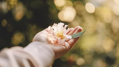 З Теплим Олексою 2026: надсилай друзям і рідним картинки та душевні побажання