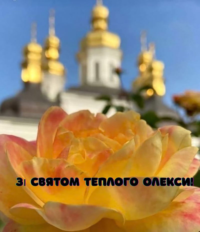 С Теплым Алексеем 2026: присылай друзьям и родным картинки и душевные пожелания - фото 838650