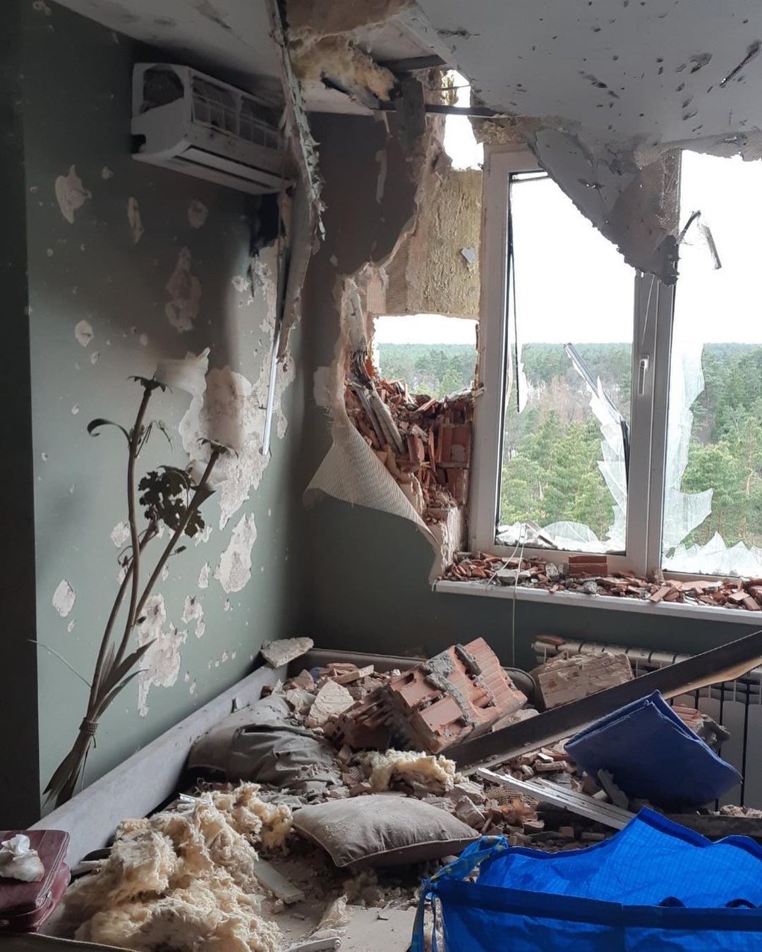 Понівечена квартира батьків Цибульської в Ірпені  - фото 839846