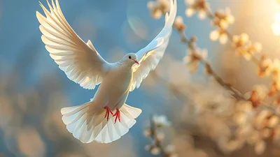 Коли Благовіщення Пресвятої Богородиці в 2026 році в Україні