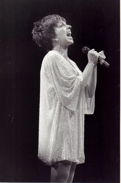 Лайза Мінеллі - фото 840320