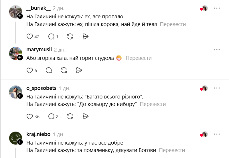 На Галичині не кажуть: українці діляться місцевою говіркою, і це справжній цирк - 841023 На Галичині не кажуть: українці діляться місцевою говіркою, і це справжній цирк - фото 841023