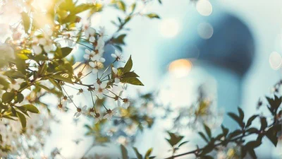 Свято Благовіщення 2026: що не можна робити 25 березня і яких прикмет слід дотримуватися