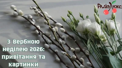 Котики прийшли — свято принесли: величезна добірка привітань з Вербною неділею та картинки, якими захочеться поділитися