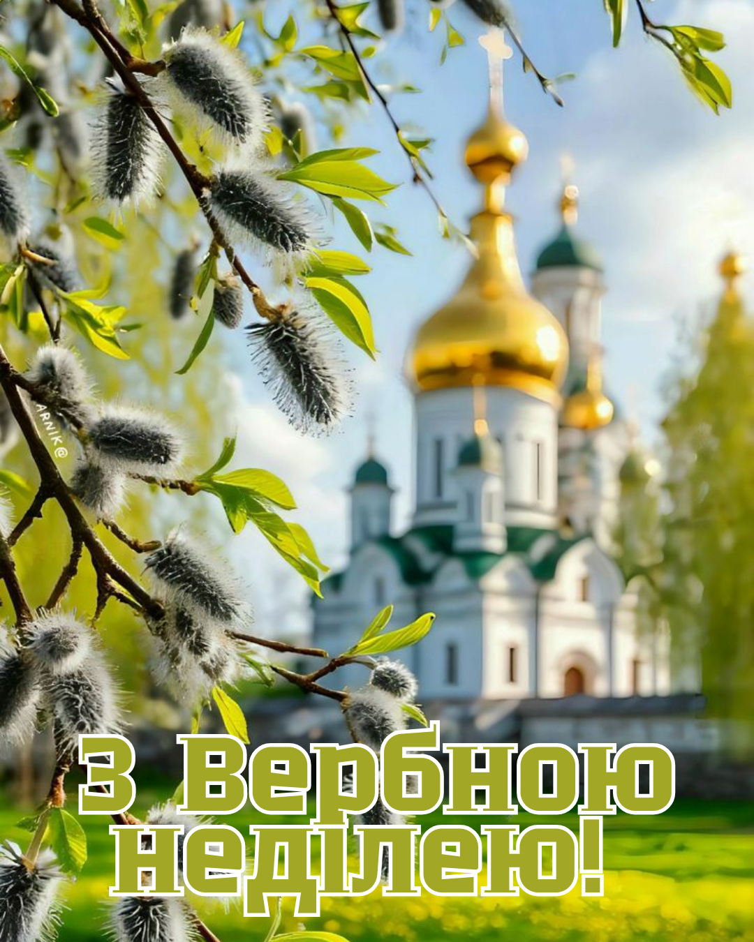 Котики пришли - праздник принесли: огромная подборка поздравлений с Вербным воскресеньем, которыми захочется поделиться - 843238 Котики пришли - праздник принесли: огромная подборка поздравлений с Вербным воскресеньем, которыми захочется поделиться - фото 843238