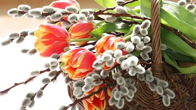 Магічний оберіг у вазі: як правильно освятити вербу, щоб вона захищала дім