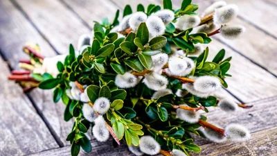 Вербна неділя: 5 речей, які категорично не можна робити, щоб не накликати біду