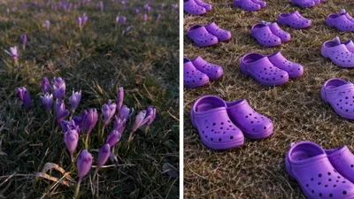 "Крокси - маленькі провісники весни": українці вигадують кумедні назви квітів