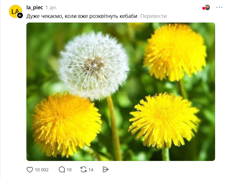 'Кроксы - маленькие предвестники весны': украинцы придумывают забавные названия цветов - фото 844195