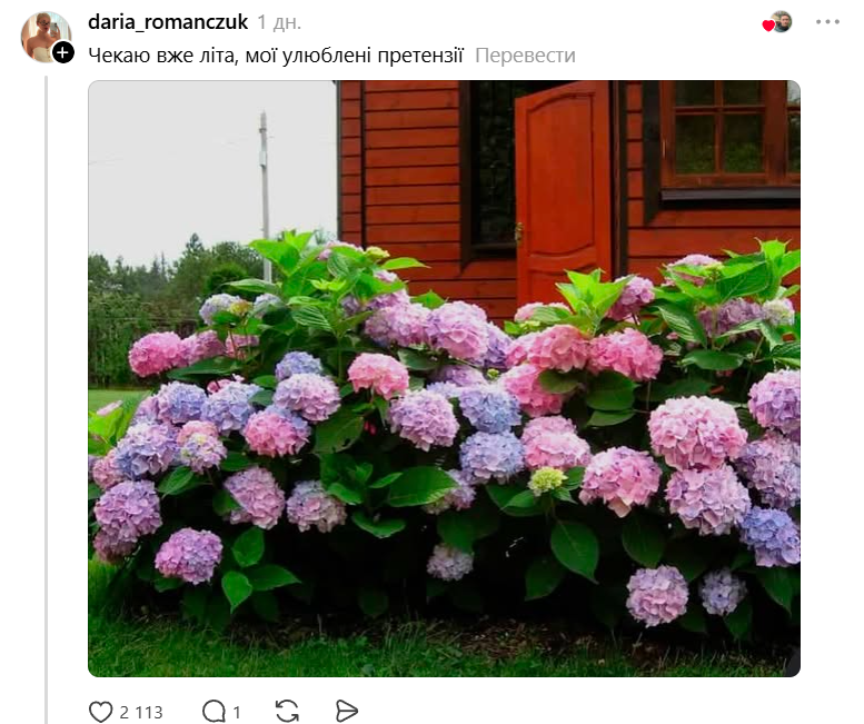 'Кроксы - маленькие предвестники весны': украинцы придумывают забавные названия цветов - фото 844201
