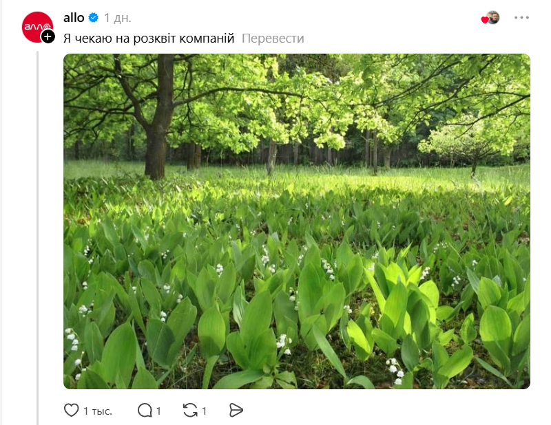 'Кроксы - маленькие предвестники весны': украинцы придумывают забавные названия цветов - фото 844204