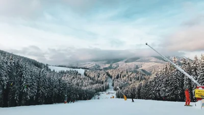 Буковель раптово засипало снігом - це останній шанс упіймати зиму за хвіст