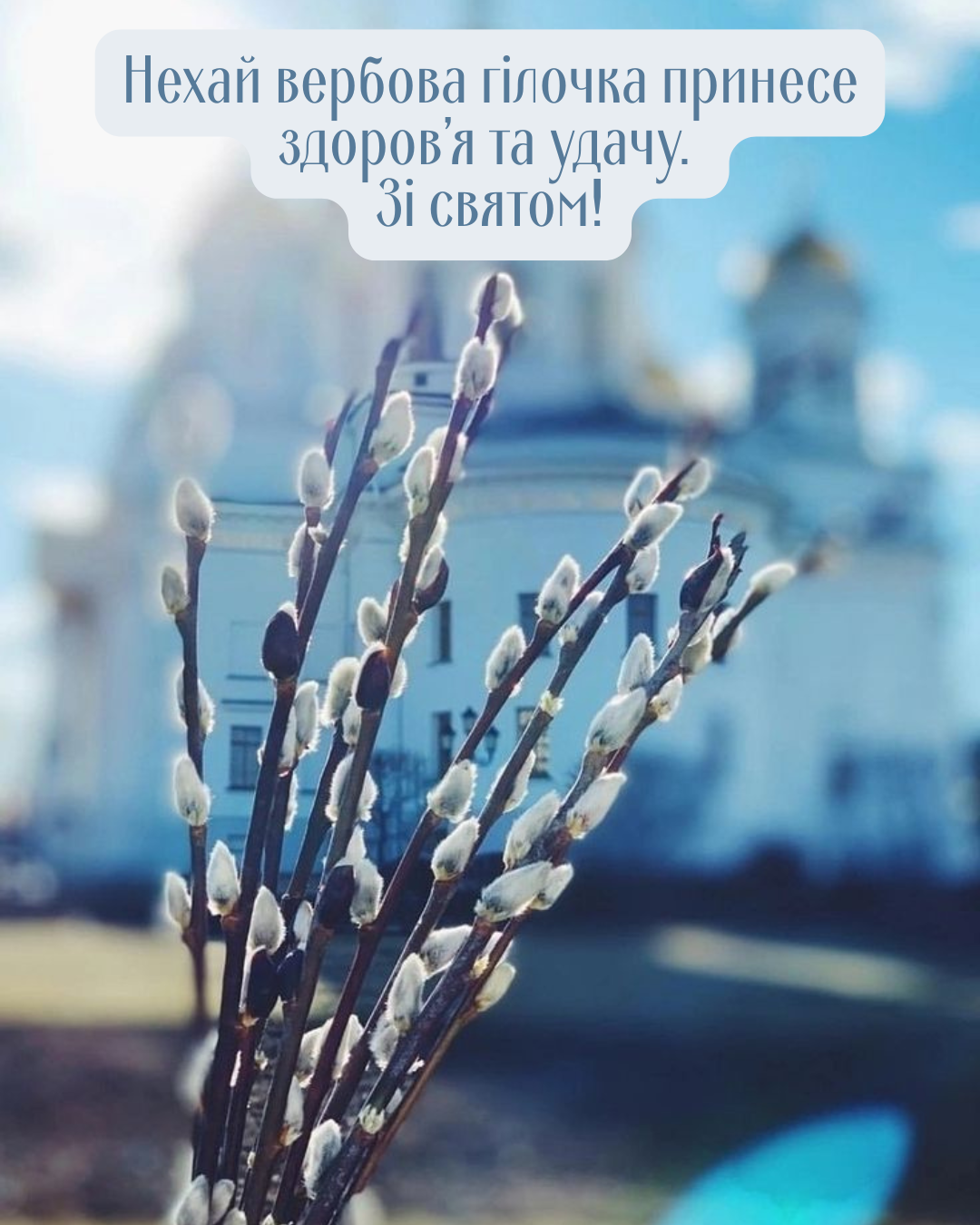 Красивые поздравления с Вербным воскресеньем и новые картинки, которые согревают душу - фото 844261
