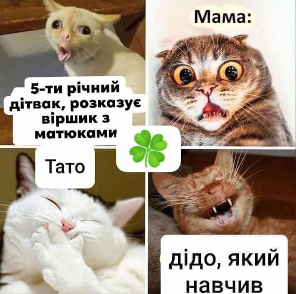 'Как говорил мой дед: я твой дед': забавные мемы о дедушках, в которых каждый узнает своего - фото 844581