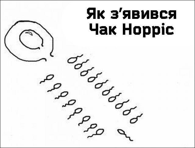 Меми і жарти з Чаком Норрісом - 844914 Меми і жарти з Чаком Норрісом - фото 844914