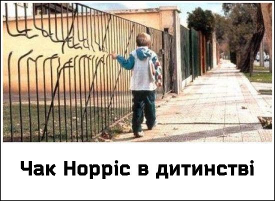 Меми і жарти з Чаком Норрісом - 844918 Меми і жарти з Чаком Норрісом - фото 844918
