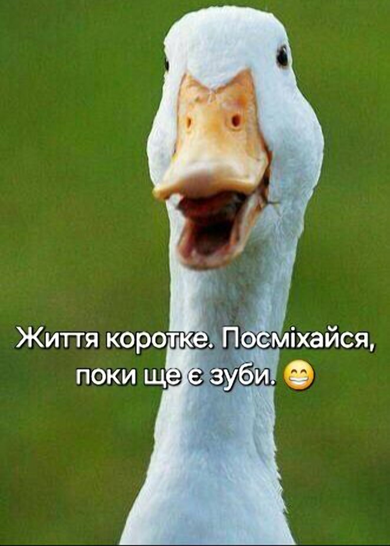 Кринжовые мемы к 1 апреля, которые заменят тебе любые розыгрыши - фото 845045