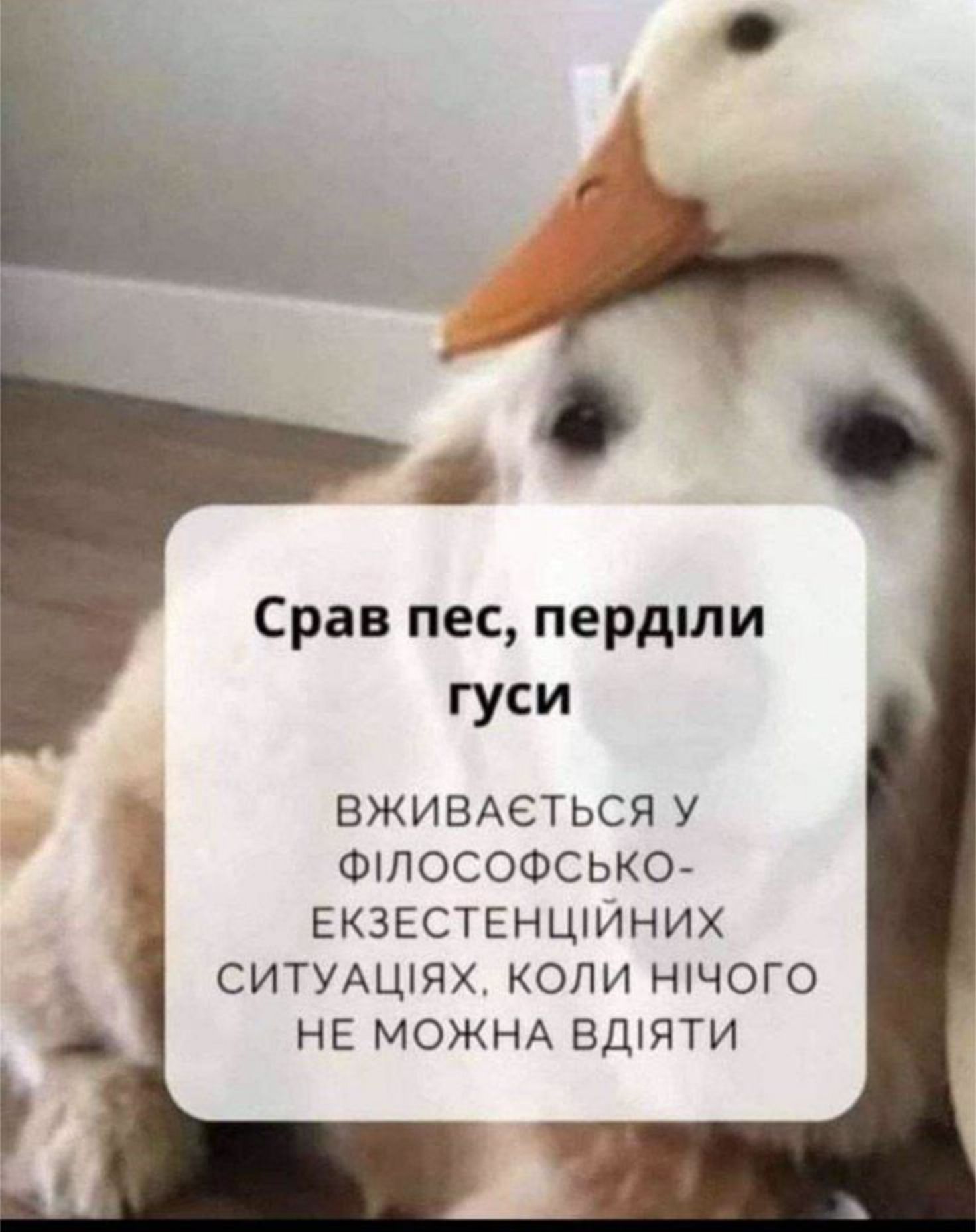 Кринжовые мемы к 1 апреля, которые заменят тебе любые розыгрыши - фото 845053