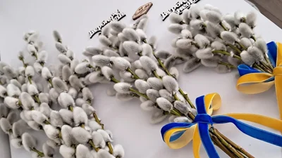 Сучасні вірші з Вербною неділею 2026 та листівки, які захочеться переслати близьким