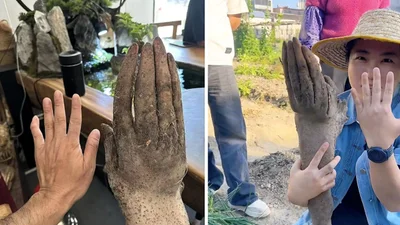 Фермер викопав людську руку, яка виявилась овочем - дивна знахідка шокувала усіх